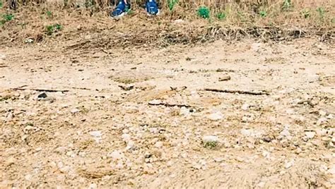 Cumming In Ass Desi Threesome Tani Gay Boy Asian Porn Xhamster