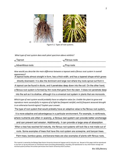 SOLUTION: Biology the roots and its structures worksheet - Studypool