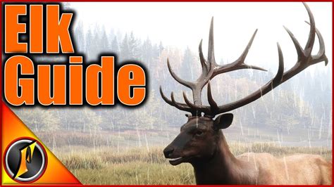 How To Hunt Roosevelt Elk Thehunter Call Of The Wild Youtube