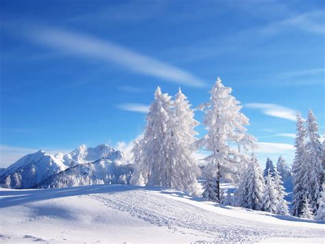 Winter Backgrounds for Desktop Free Download