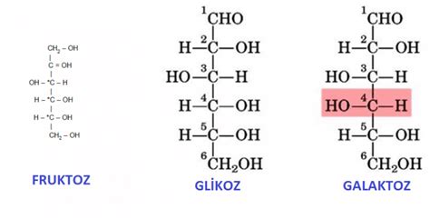 Glikoz Cofoe Glikoz Test Seritleri Kan Sekeri Seritleri Test Kan