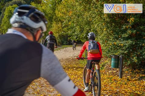 Quarto DAltino Il Via Libera Al Completamento Del Percorso Ciclabile