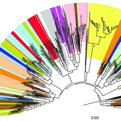 Predictions And Results Of Phylogenetic Analysis A The Hypothetical