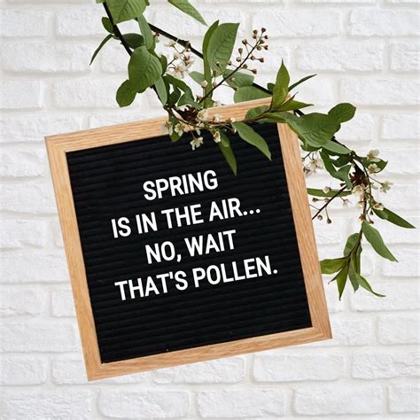 Hello Spring! Letter Board Quotes, Messages & Ideas | Scattered Quotes