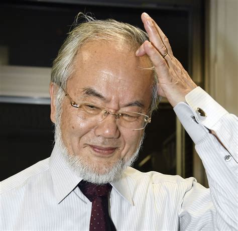 Japanese Scientist Wins Nobel For Study Of Cell Recycling The Seattle