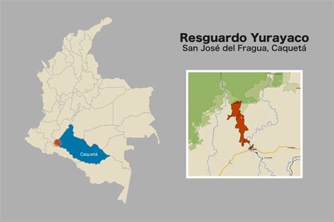 Encorto Tres Claves Para Entender Por Qu La Marginal De La Selva