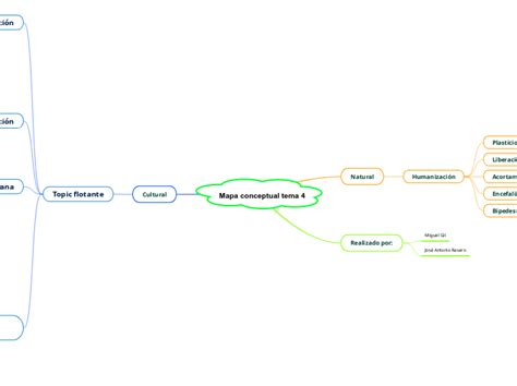 Mapa Conceptual Tema 4 Mind Map