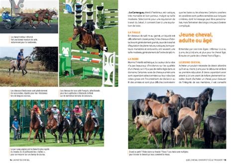 Le Guide Complet Du Propri Taire De Chevaux De Claude Lux Grand