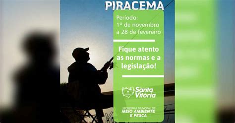Que Dia Começa A Piracema - A Piracema começa neste dia 1 de novembro