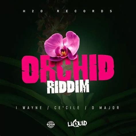 Orchid Riddim H2o Records