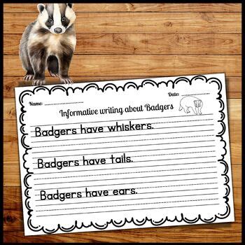 Badger Informative Sentence Writing Practice Worksheets With True Facts