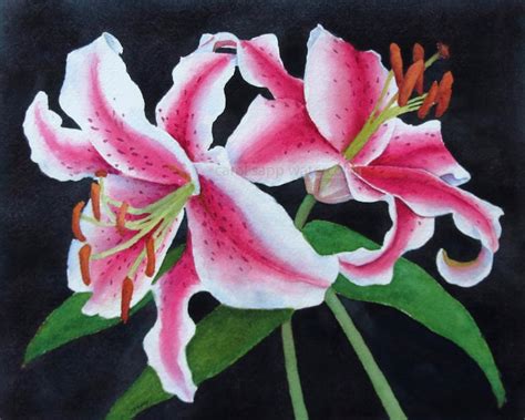 Stargazer Lilies Watercolor-lily Painting-botanical Watercolor ...