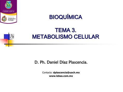 PDF BIOQUÍMICA TEMA 3 METABOLISMO CELULAR PDF fileCONTINUACIÓN 3