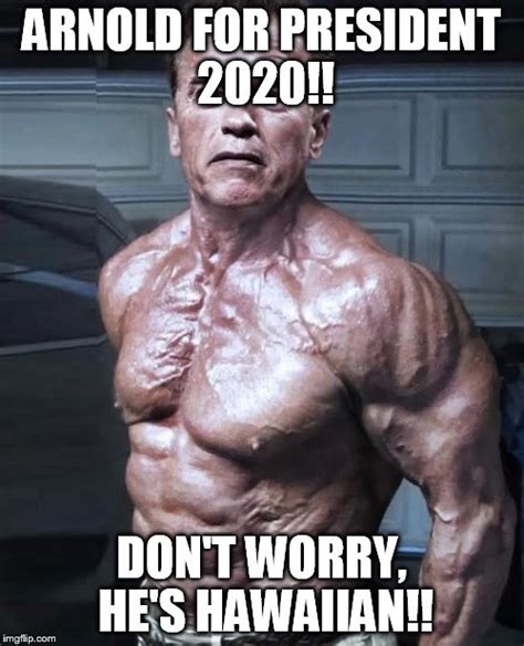 Schwarzenegger Meme I Am Disappointed