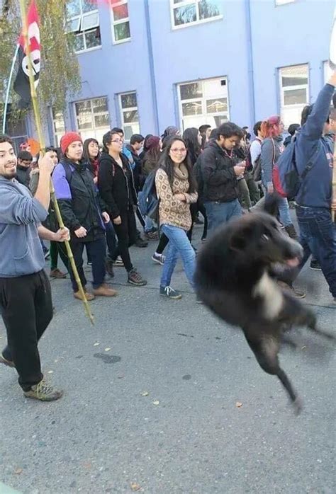 Vestigios de la vieja Taringa : r/argentina