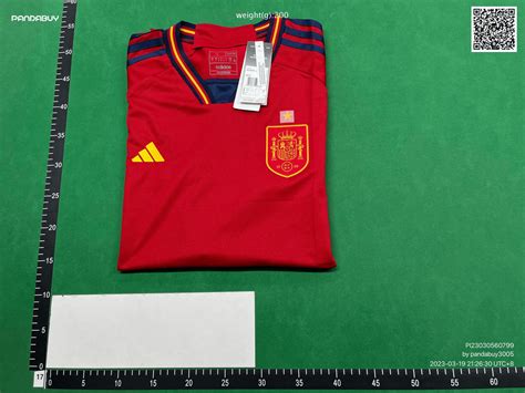 Spain National Football Team Jersey ¥65 : r/FashionReps