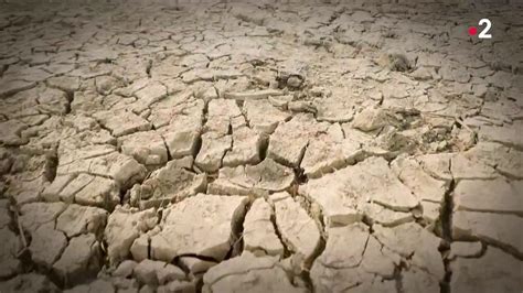 Dérèglement climatique les nappes phréatiques au plus bas la