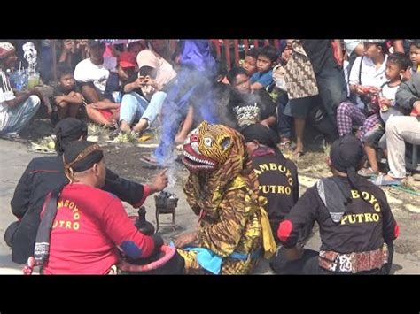 Ganongan Kewan Alas Jaranan SAMBOYO PUTRO Live Nyadran Tempel Ngronggot