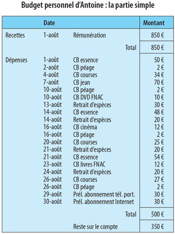 Comptabilit En Partie Simple Exemple