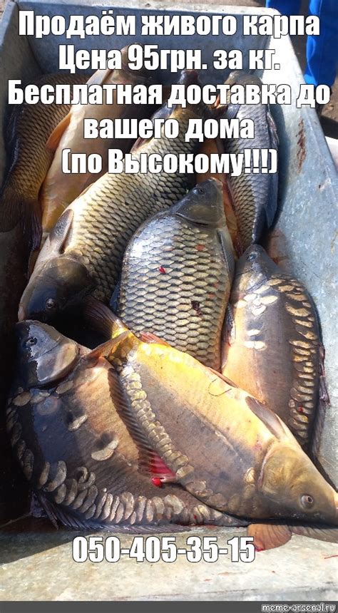 Meme: "Продаём живого карпа Цена 95грн. за кг. Бесплатная доставка до ...