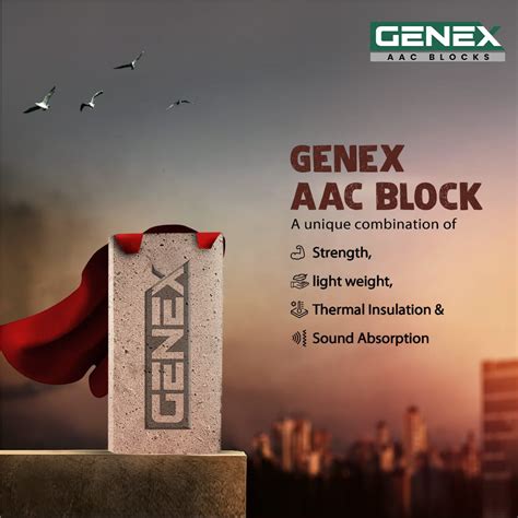 History And Evolution Of AAC Blocks Genex