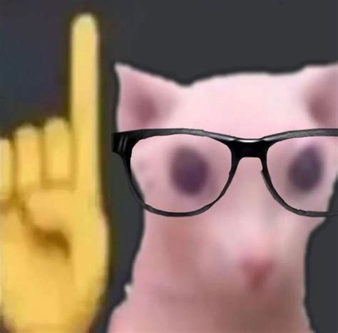 The Cat Is Wearing Glasses And Pointing At It S Own Hand With Two Fingers