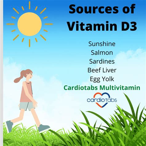 Do You Know The Best Sources Of Vitamin D3 For Immunity Health