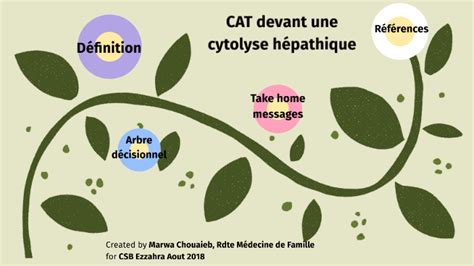 Cat Devant Un Cytolyse H Patique By Marwa Chouaieb On Prezi