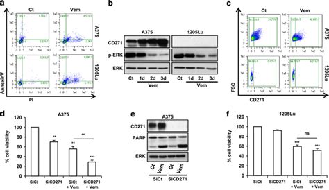 A375 And 1205lu Melanoma Cells Were Treated With Vemurafenib 2 μm Vem