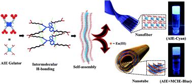 High Aspect Ratio Processable Coordination Polymer Gel Nanotubes Based