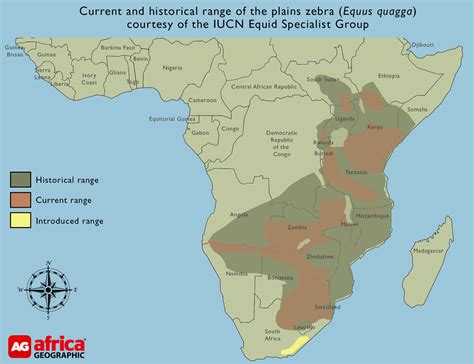 Zebras In Africa Map