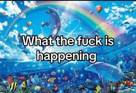 What The F Is Hapenning Dolphin Meme Rainbow Dolphin Symphony