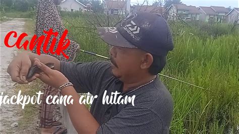 Kalau Di Sini Ini Ikan Enak Ga Tau Kalau Disana Uhuy Youtube