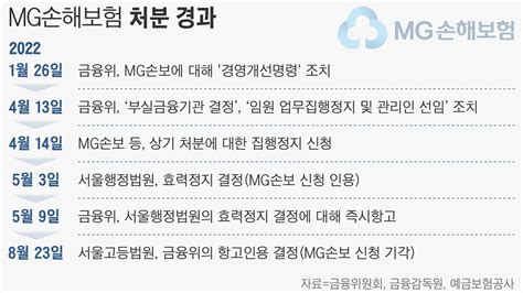 금융당국 Mg손보 공개매각 추진…대주단 매각 동시 진행 네이트 뉴스