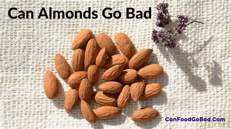 Can Almonds Go Bad And Make You Sick How Long Does It Take For An