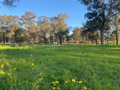 Glamping Near Sydney, NSW, AU: 20 Best Luxury Glamping Sites 2026 | Hipcamp