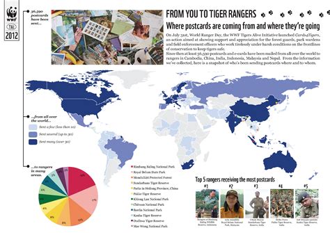 New study reveals scale of persistent illegal tiger trade | WWF