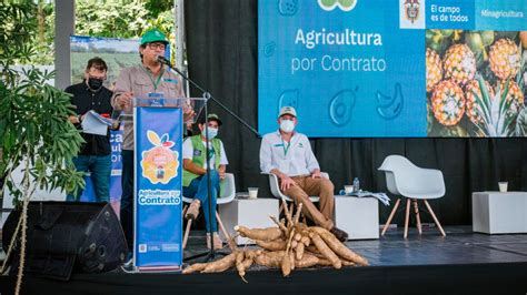 Minagricultura Lanz Yuca Pa S Un Plan Que Contempla Puntos Para