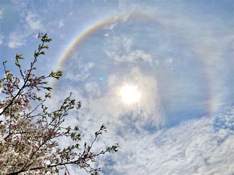 太陽の周りに輝く“虹色の輪”「花見で空を見上げたら」鹿児島県北部で目撃相次ぐ Tbs News Dig