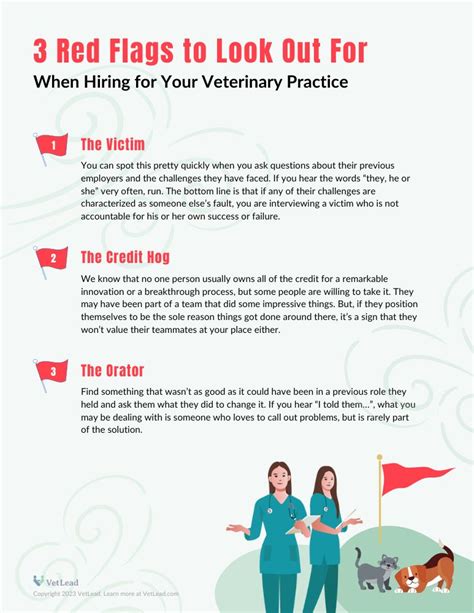 Red Flags To Look Out For When Hiring Vetlead