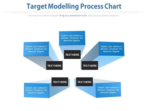 Target Modelling Process Chart Ppt Slides