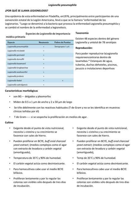 Legionella Pneumophila Y Su Cuadro Cl Nico Christian Pesantez Udocz