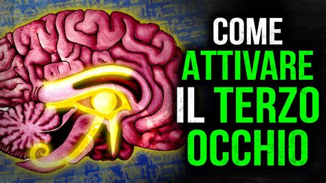 Il Processo Di Attivazione Della Ghiandola Pineale Spiegazione