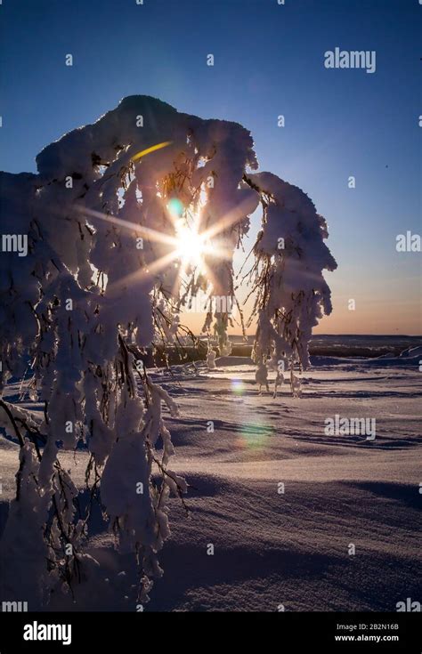 Winter in Lapland Finland Stock Photo - Alamy