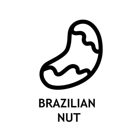 Brazilian Nut Icon Vector Graphic Food Retro Doodle Symbol Healthy