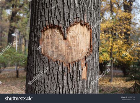 2,519 Big Carved Tree Images, Stock Photos & Vectors | Shutterstock