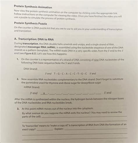 Solved Protein Synthesis Animation Now view the protein | Chegg.com 