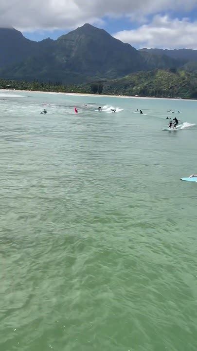 Surfers At Hanalei Bay Surfing Recorded Off The Pier At Hanalei Bay Youtube