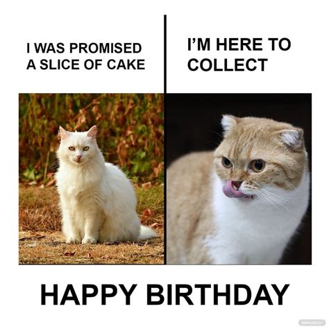 Free Funny Happy Birthday Cat Meme Illustrator Psd Png | The Best Porn ...