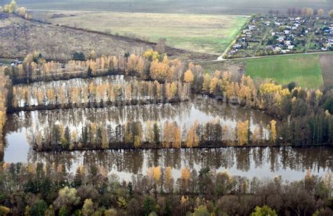 Luftbild Vetschau Spreewald Uferbereiche Der Teichanlagen Zur